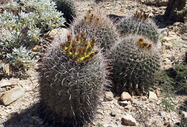 Similar image 8649811