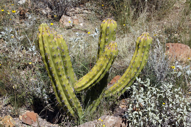 Similar image 8649814