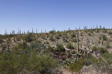 Similar image 8649817