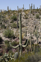 Similar image 8649819