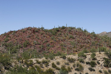 Similar image 8649821