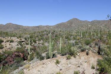 Similar image 8649822