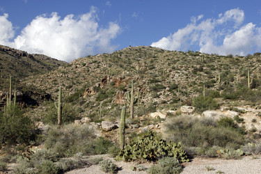 Similar image 8649825