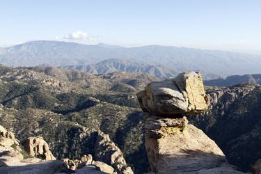 Similar image 8649828