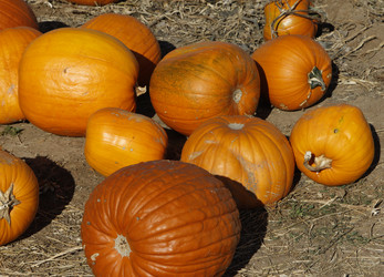 Similar image 8649832