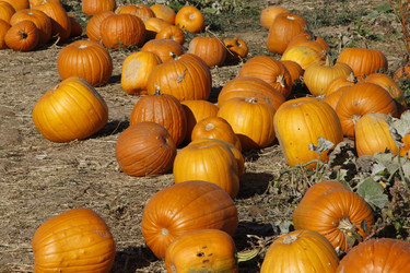 Similar image 8649833