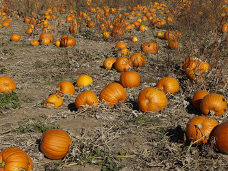 Similar image 8649836