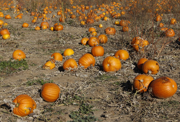 Similar image 8649838