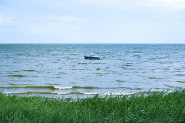 Similar image 8649906