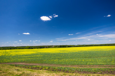 Similar image 8649991