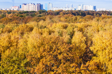 Similar image 8650019