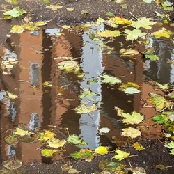 Similar image 8650020