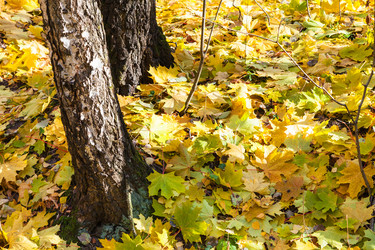 Similar image 8650027