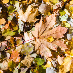 Similar image 8650028