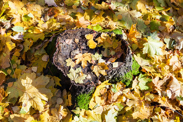 Similar image 8650039