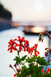 Similar image 8650065