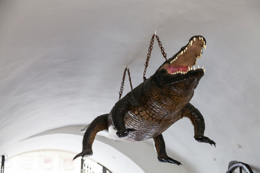 Similar image 8650166