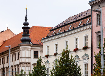 Similar image 8650170