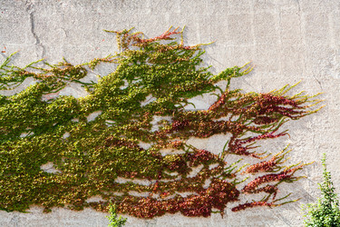 Similar image 8650177