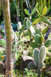 Similar image 8650179