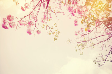 Similar image 8650201