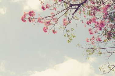 Similar image 8650204