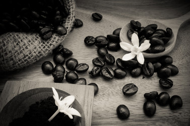 Similar image 8650221