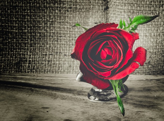 Similar image 8650235