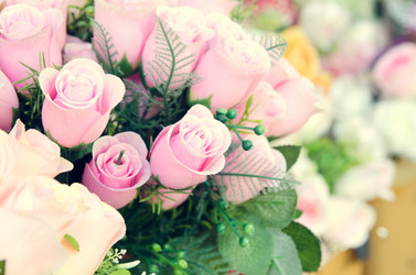 Similar image 8650250