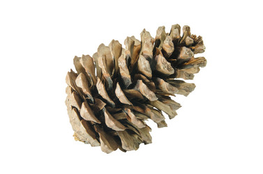 Similar image 8650253