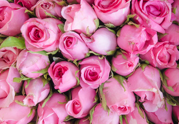 Similar image 8650257