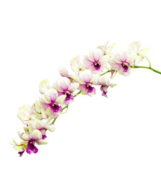 Similar image 8650259