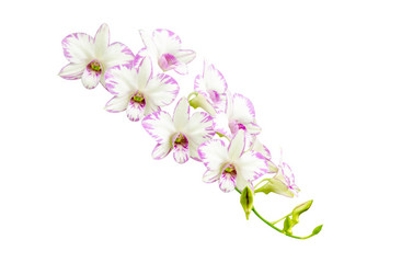 Similar image 8650263