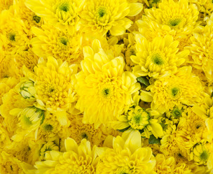 Similar image 8650270