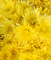 Similar image 8650272