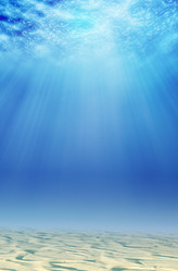 Similar image 8650275