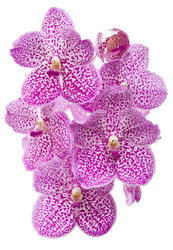 Similar image 8650277