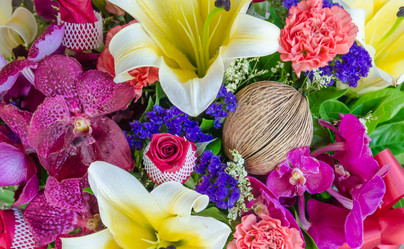 Similar image 8650278