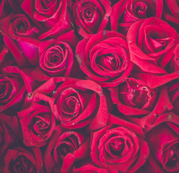 Similar image 8650284