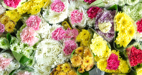 Similar image 8650287