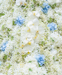 Similar image 8650294