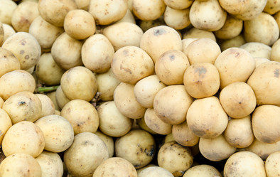 Similar image 8650295