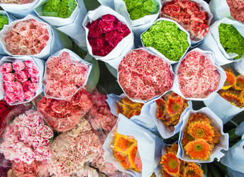 Similar image 8650296