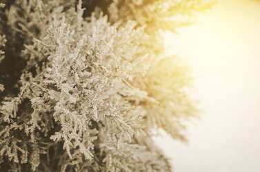 Similar image 8650297