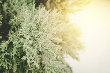 Similar image 8650299