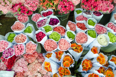 Similar image 8650305