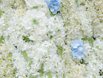 Similar image 8650306