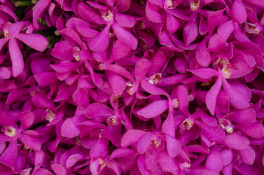 Similar image 8650311