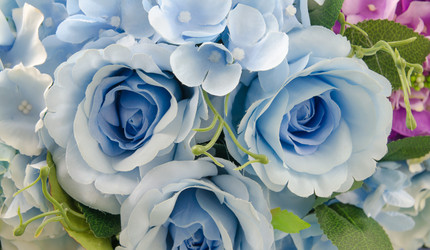 Similar image 8650312