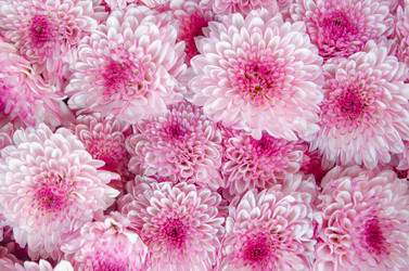 Similar image 8650315